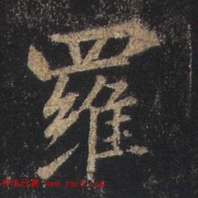 ֮鷨ľֻ浥