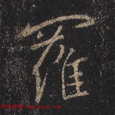 ֮鷨ľֻ浥
