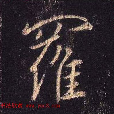 ֮鷨ľֻ浥