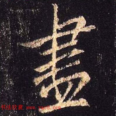 ֮鷨ľֻ浥