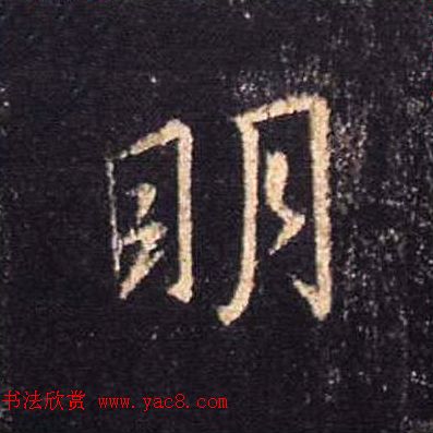 ֮鷨ľֻ浥