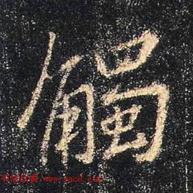 ֮鷨ľֻ浥