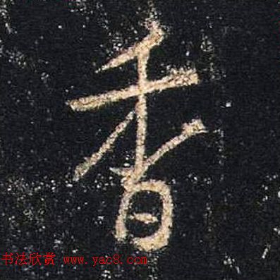 ֮鷨ľֻ浥