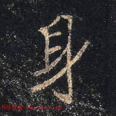 ֮鷨ľֻ浥
