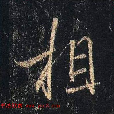 ֮鷨ľֻ浥