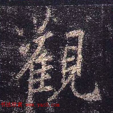 ֮鷨ľֻ浥