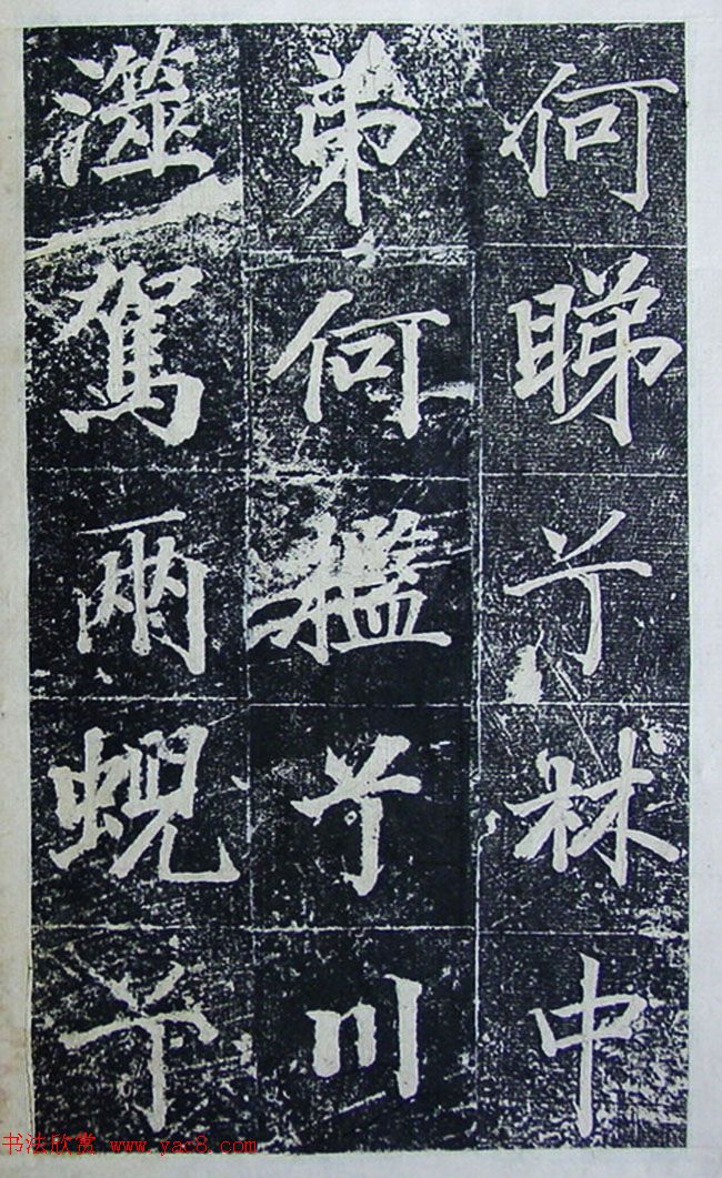 п鷨͡ġ