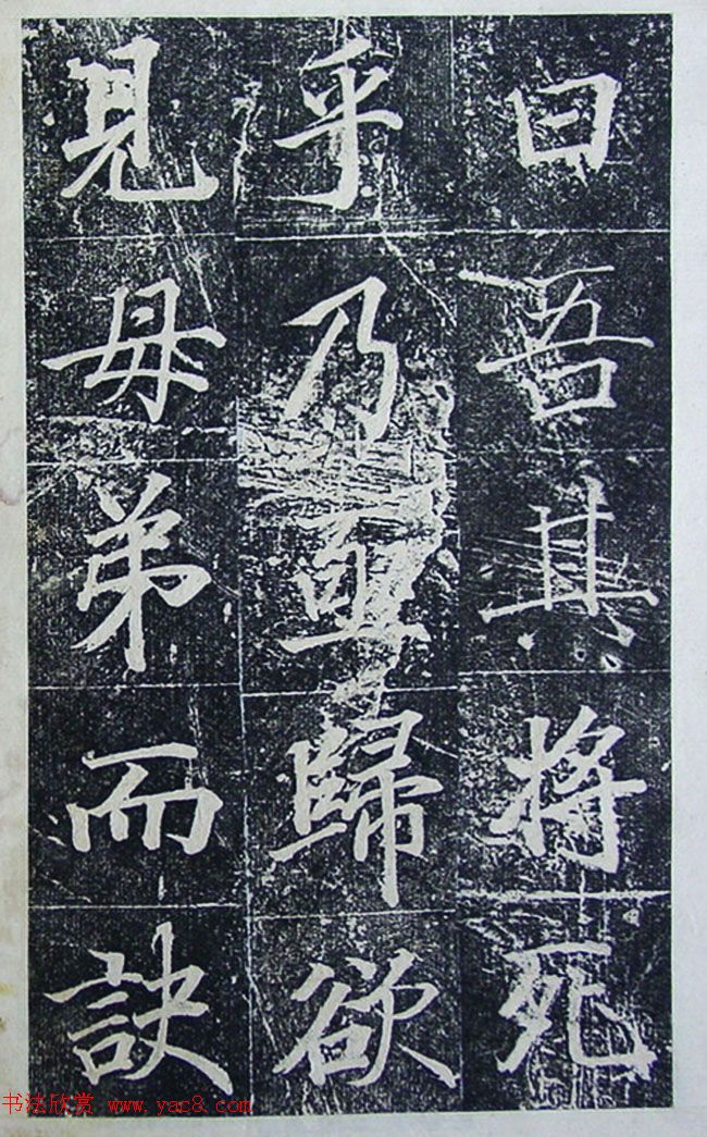 п鷨͡ġ