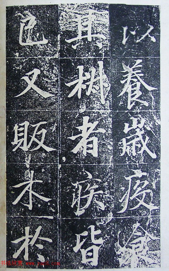 п鷨͡ġ