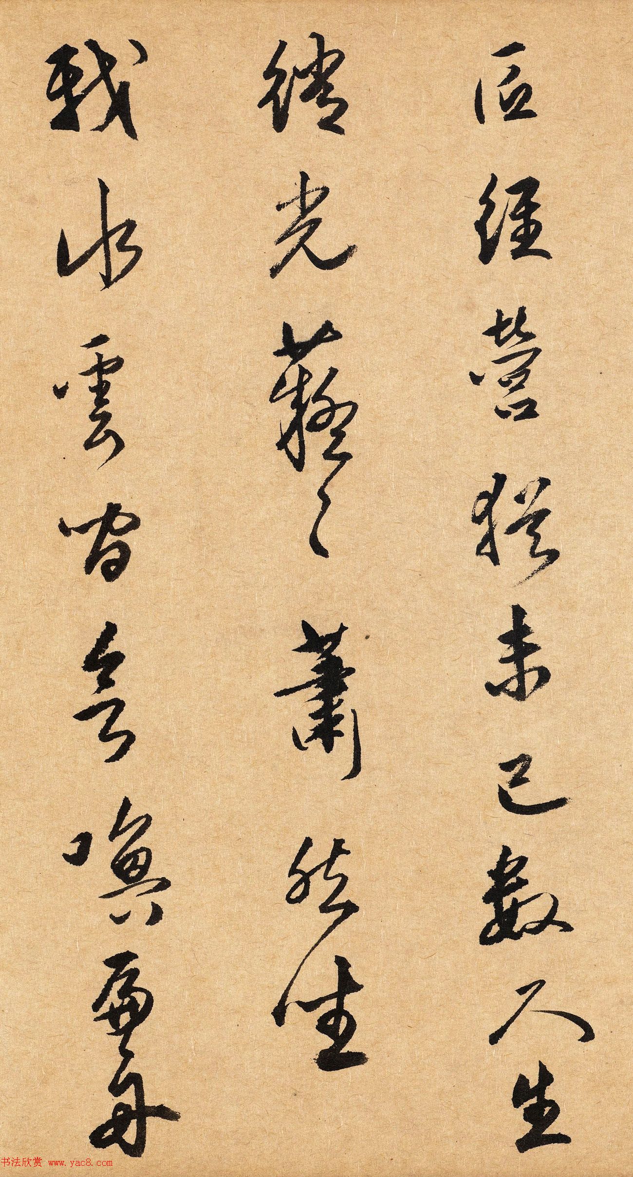 ̰в鷨Ϻׯͼ