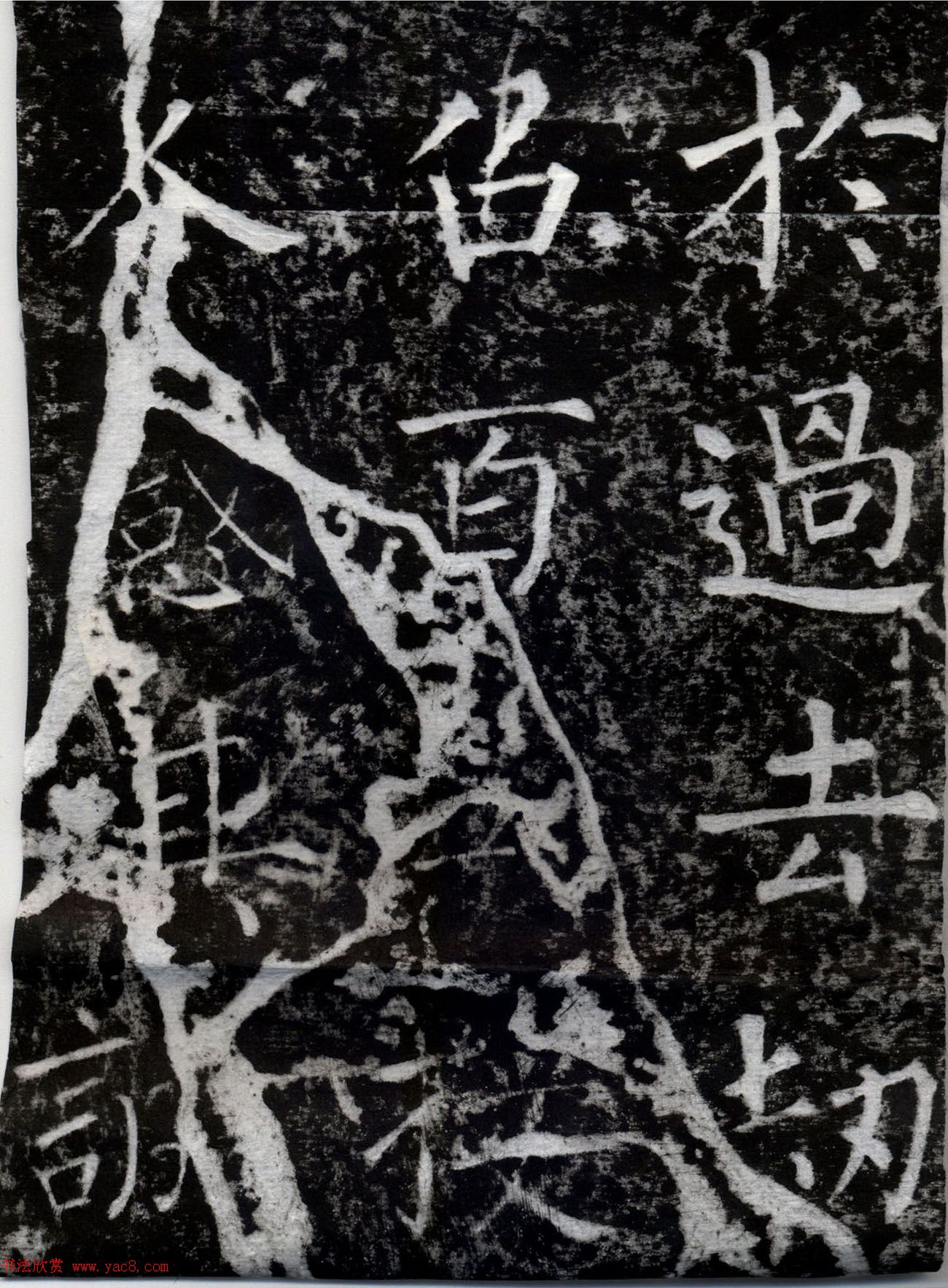 Ȩ鷨ֿʯ±