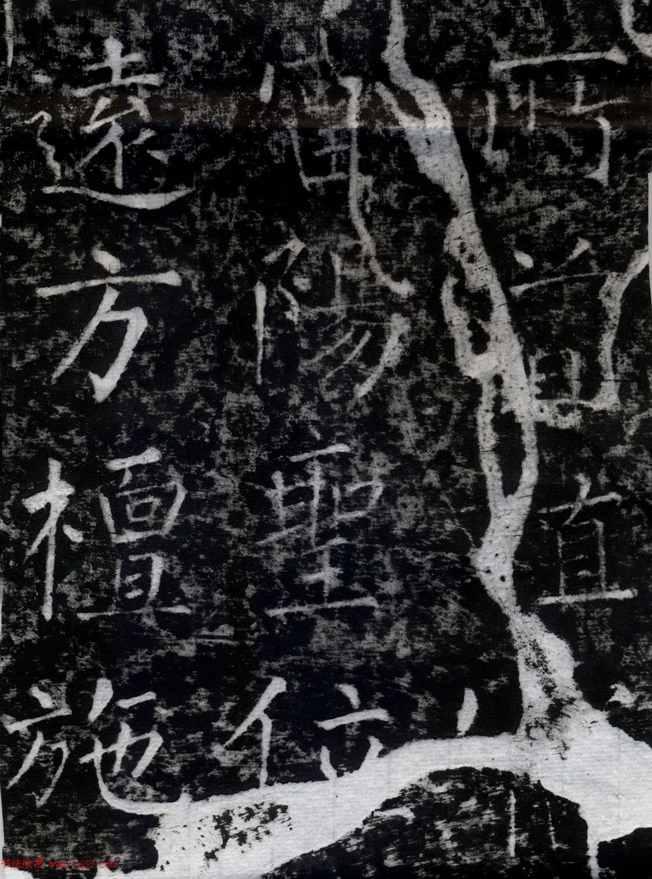 Ȩ鷨ֿʯ±