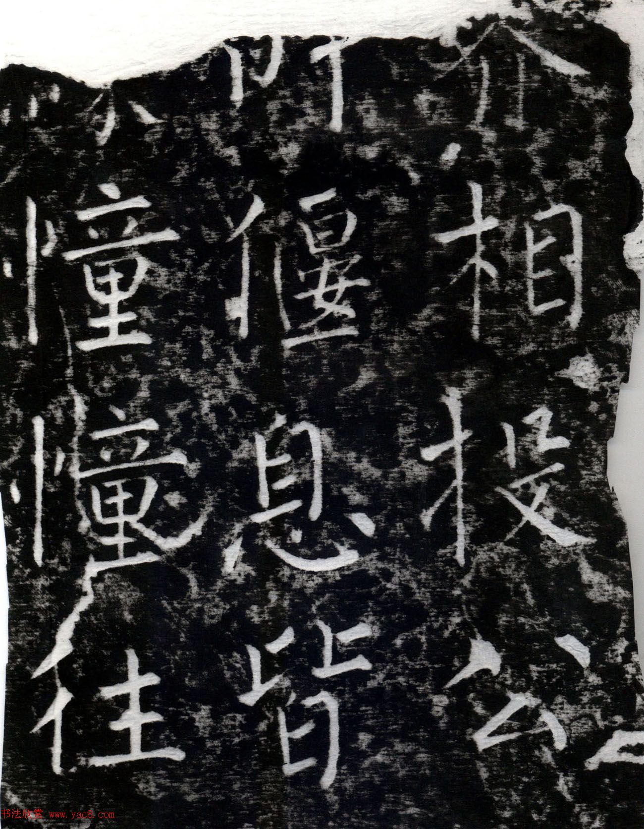Ȩ鷨ֿʯ±