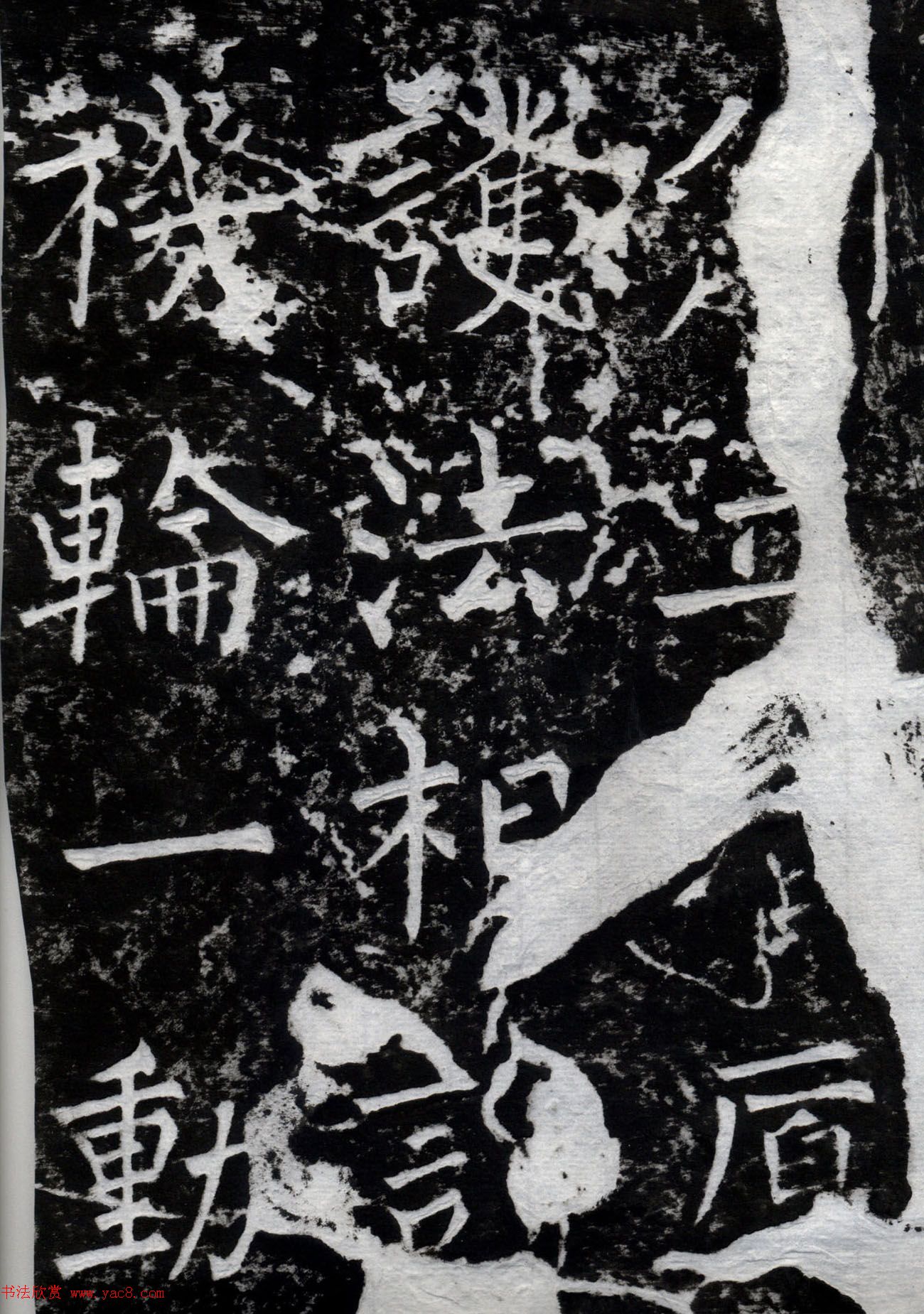 Ȩ鷨ֿʯ±