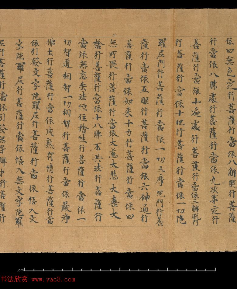 大般若波罗蜜多经卷第四百六十四_俄罗斯藏本