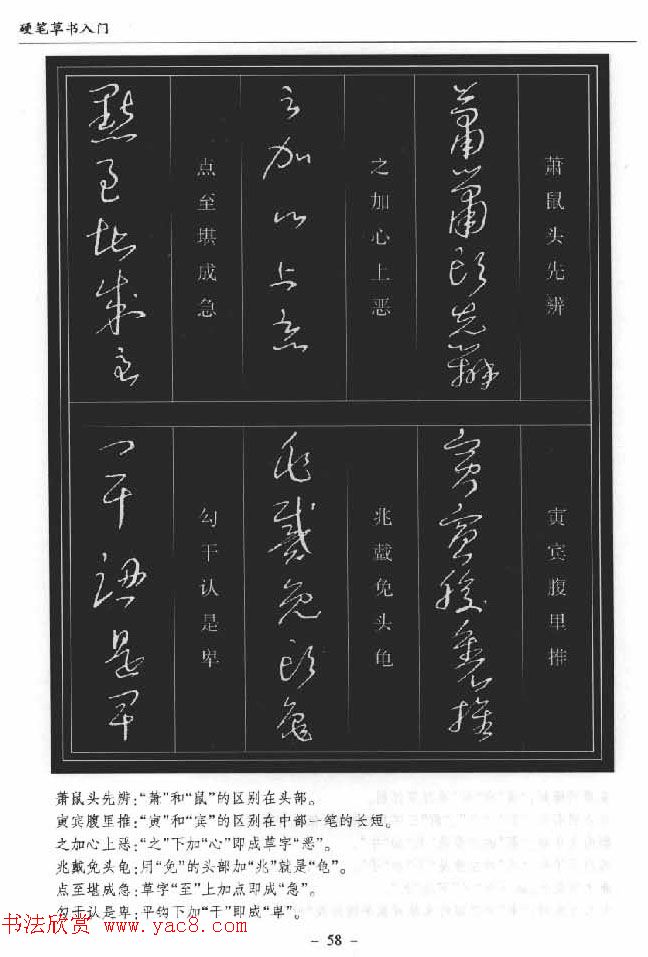 Ӳ鷨顶Ӳʲš