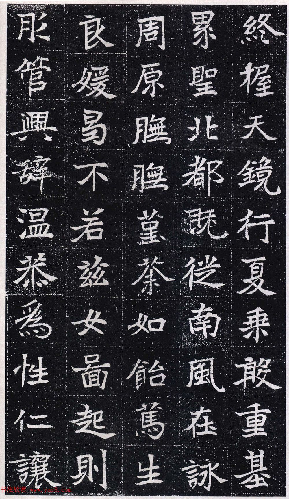 魏碑体书法刻石《高猛妻元瑛墓志》(5)