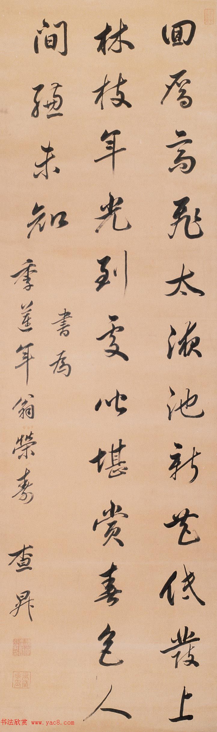 鷨Ʒ