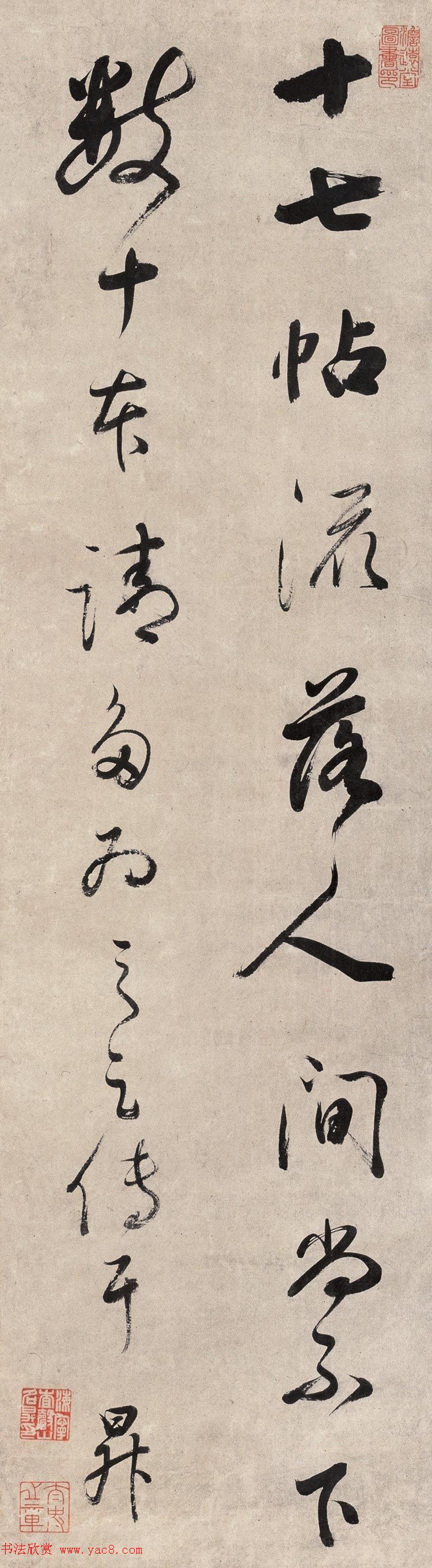 鷨Ʒ