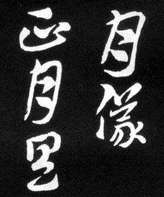 �����鷨�²ݡ���������