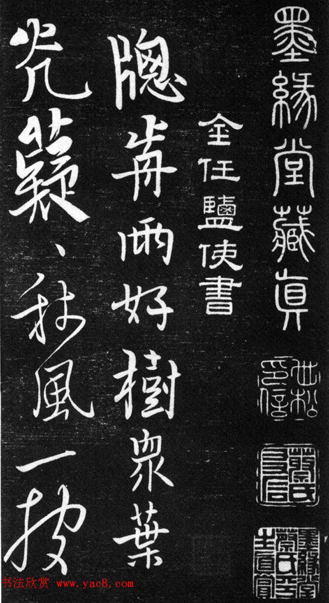 ѯ麫ﻳʫʮһ