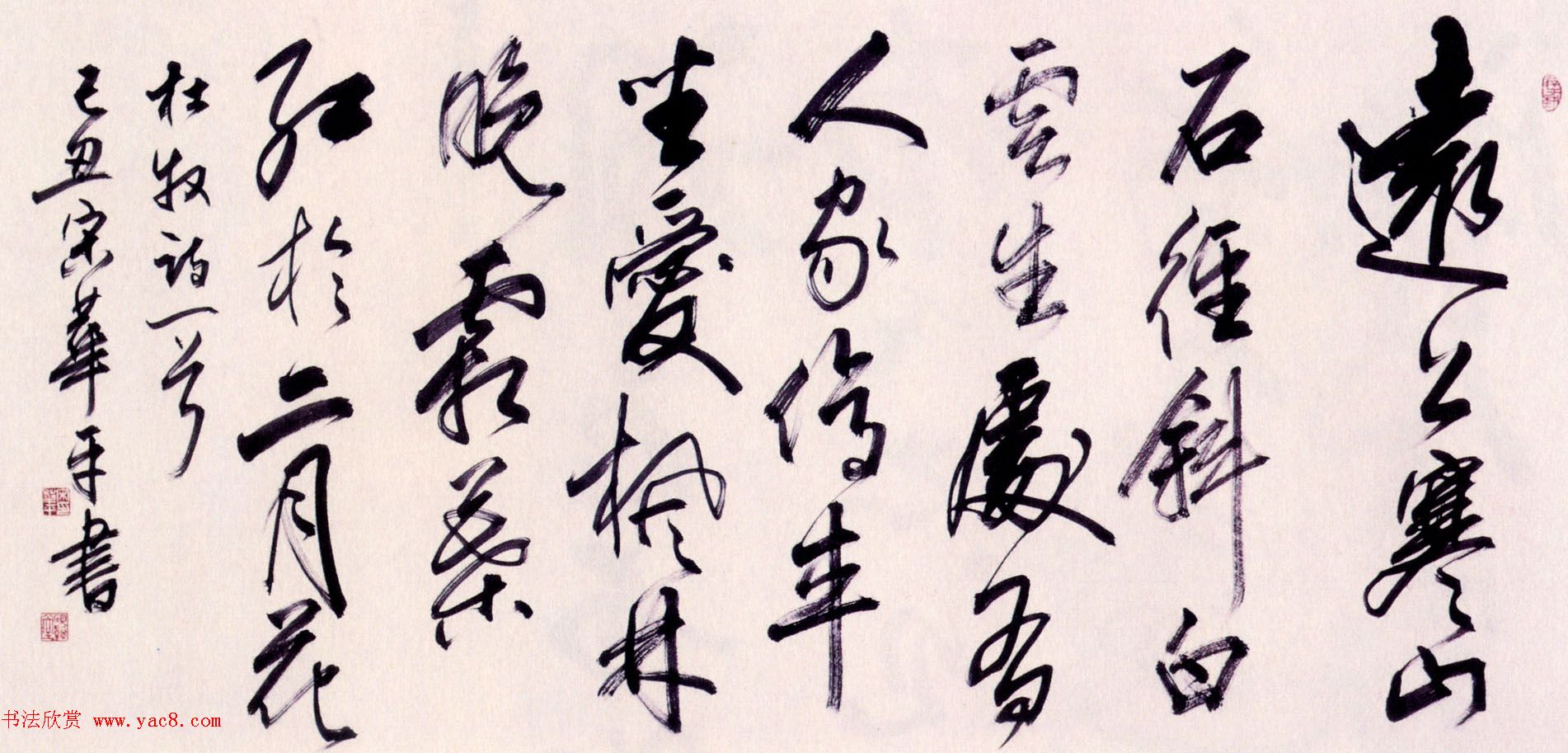 ͤί鷨Ʒ