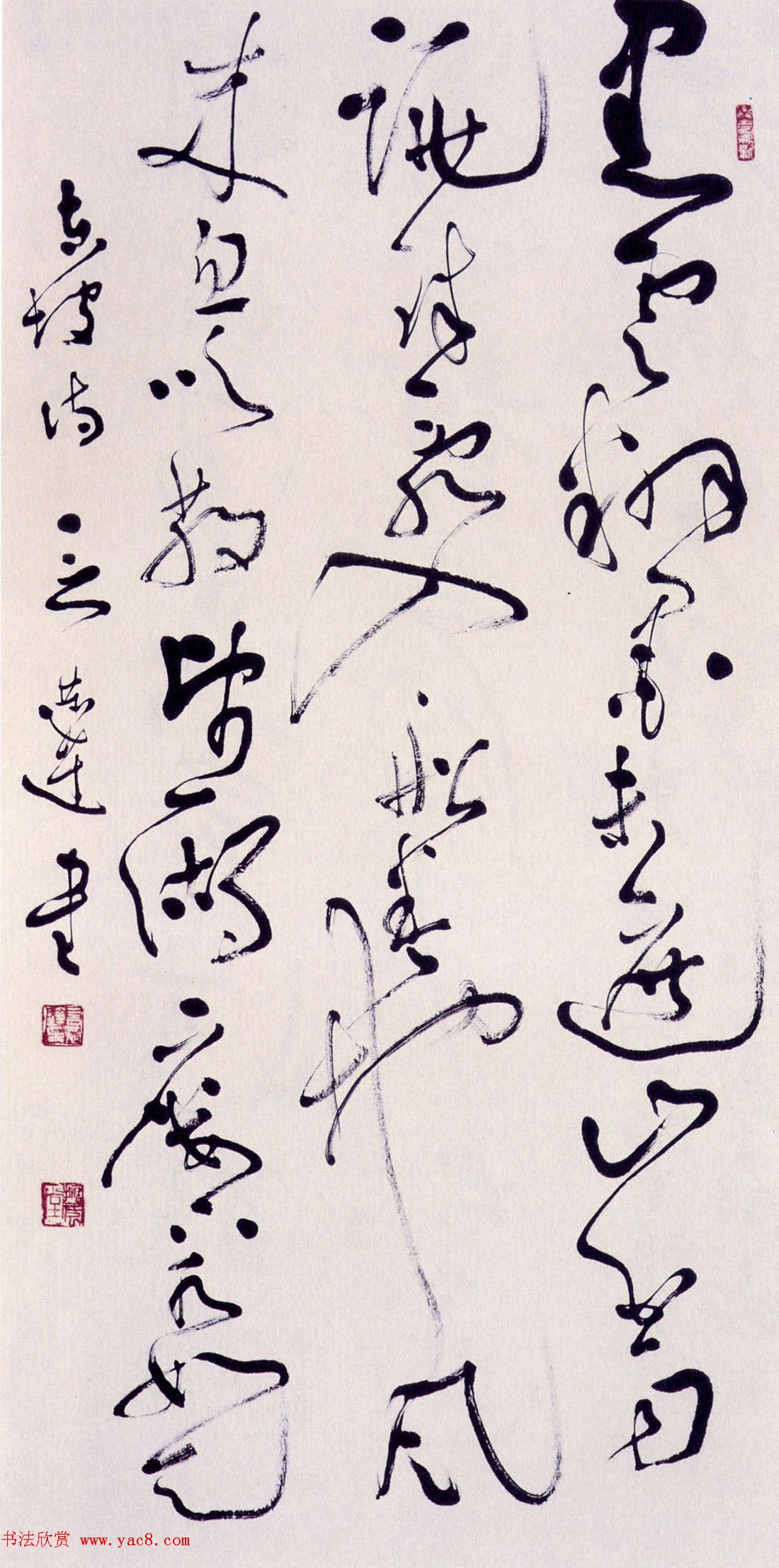 ͤί鷨Ʒ