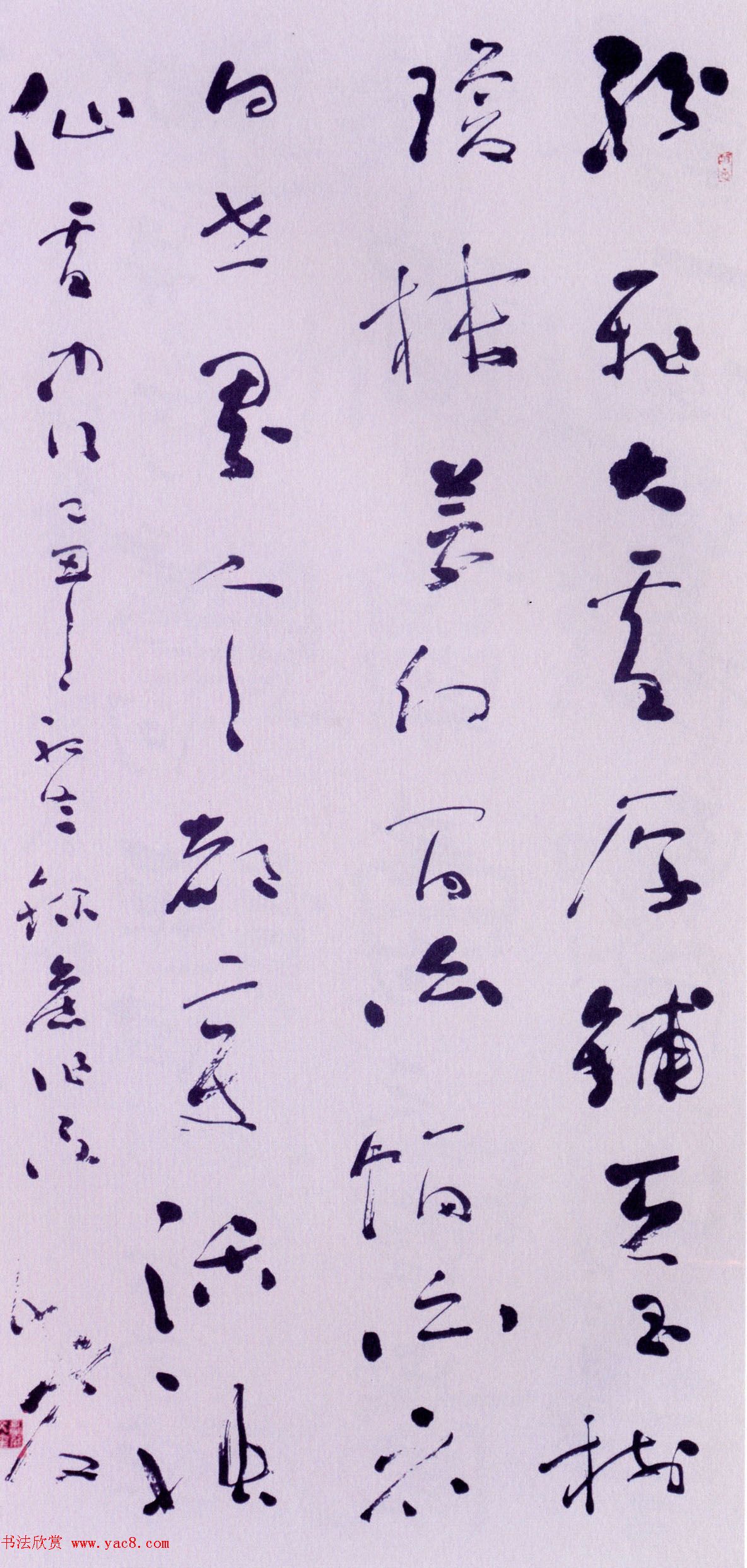 ͤί鷨Ʒ