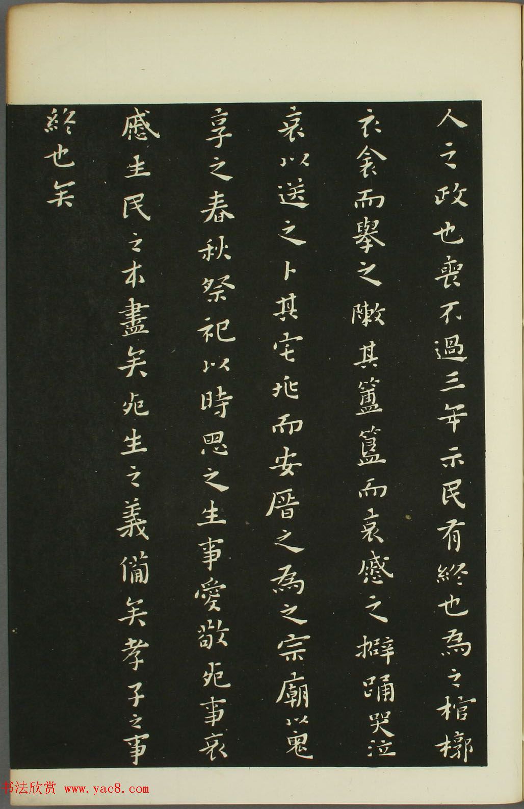 Ƶ鷨رҶСТ
