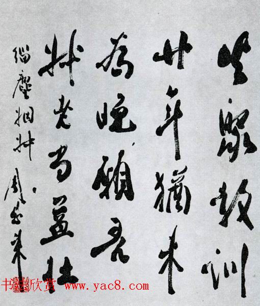 ܶ鷨