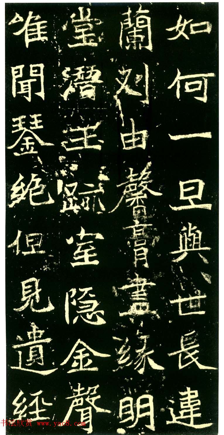 ƷĹ־֡屾