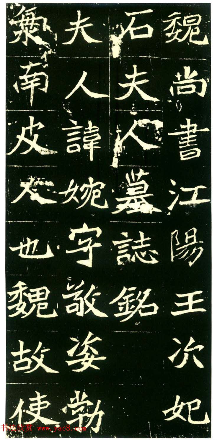 ƷĹ־֡屾