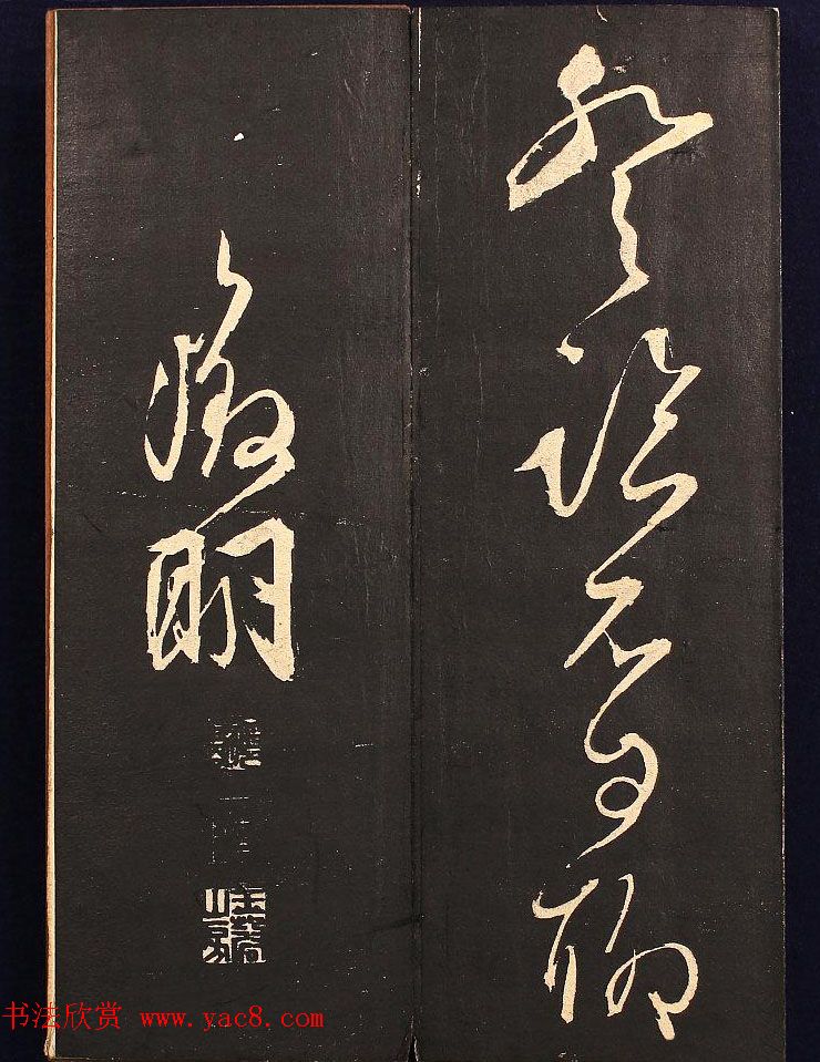 鷨ҳӽ