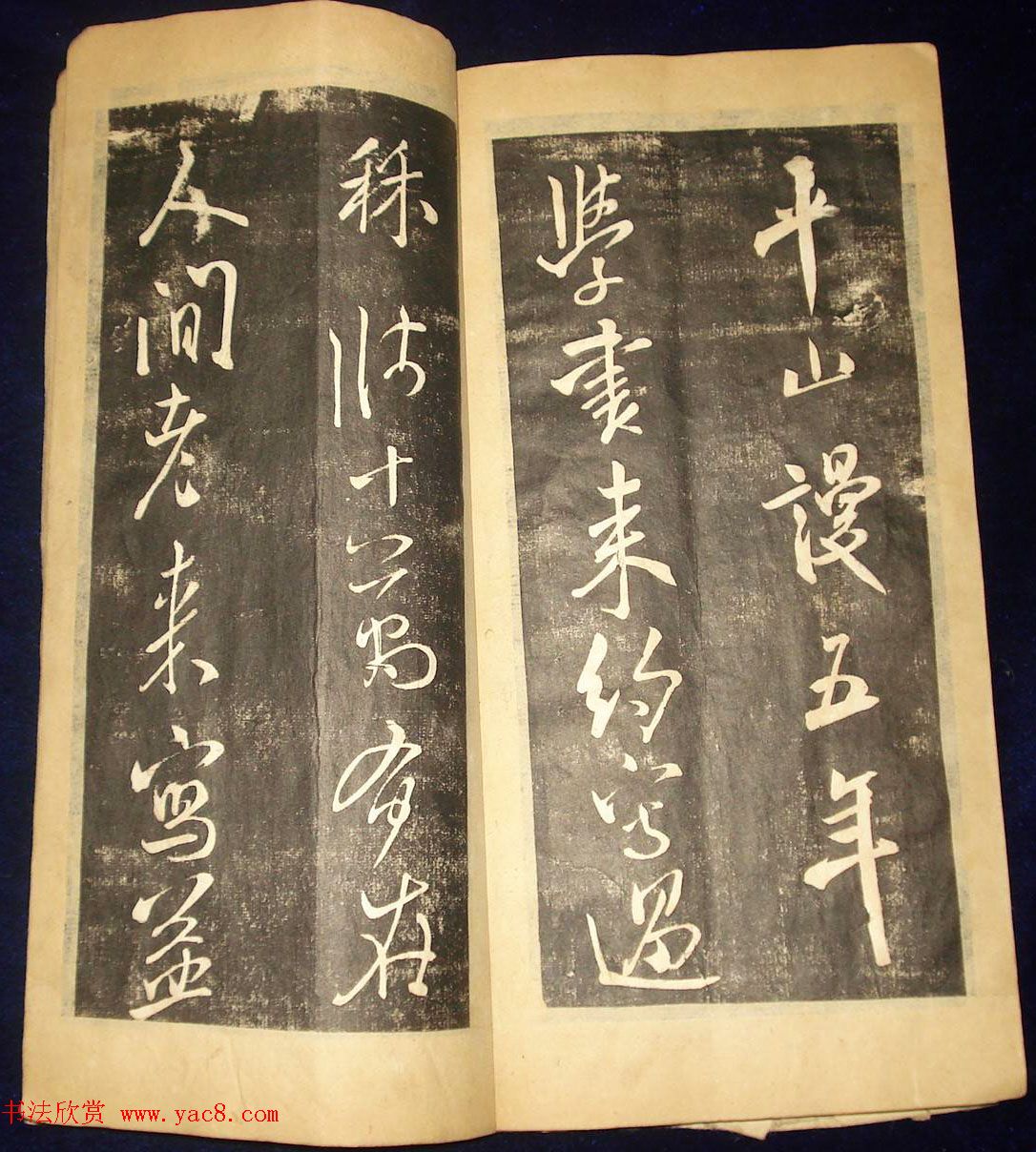 в鷨رݷߡ
