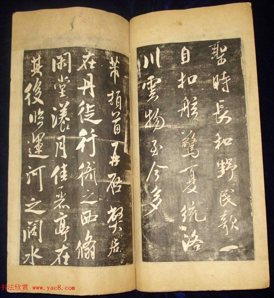 в鷨رݷߡ