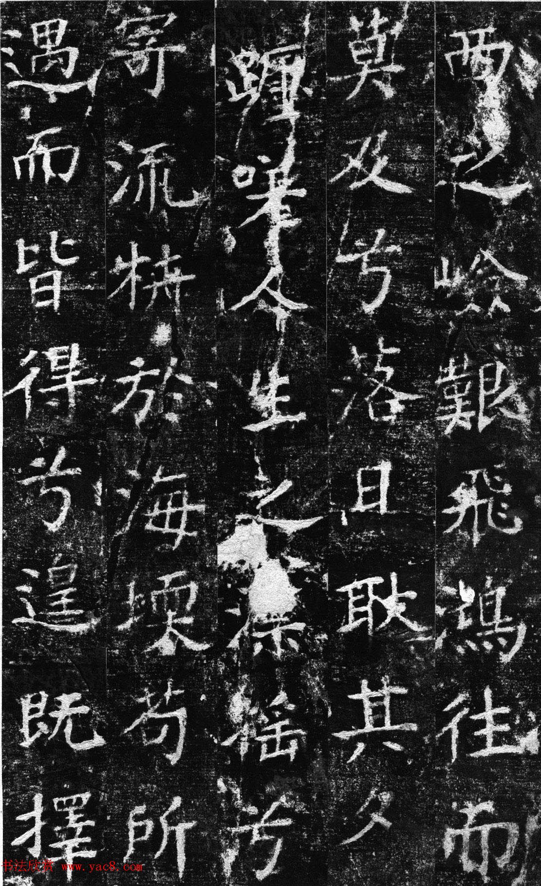 鷨رȻ̨