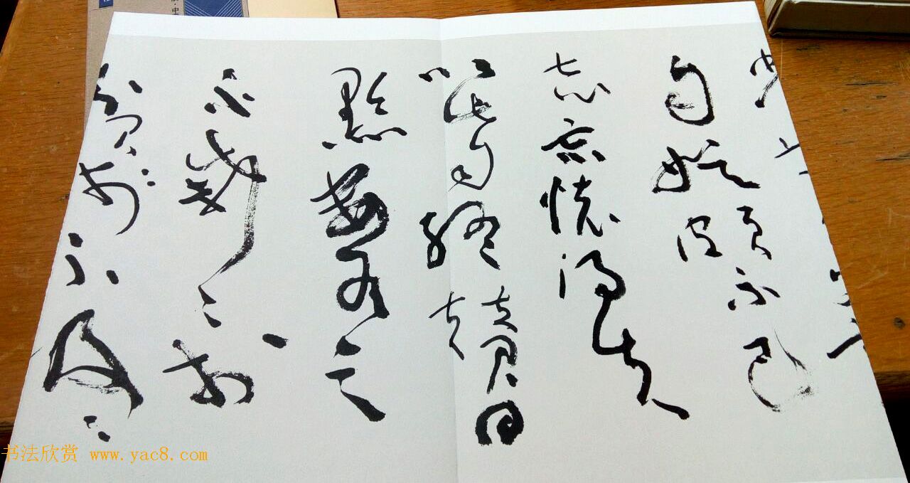 沈鹏草书欣赏《五柳先生传》(2)