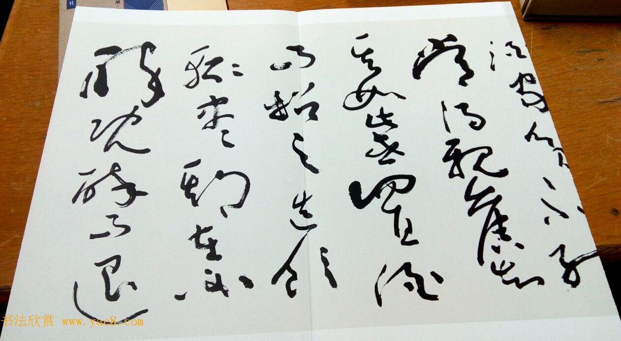 沈鹏草书欣赏《五柳先生传》