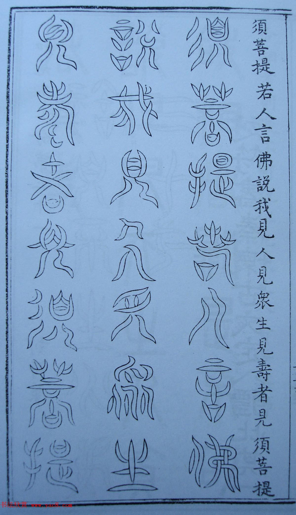 鷨żʮ׭վ