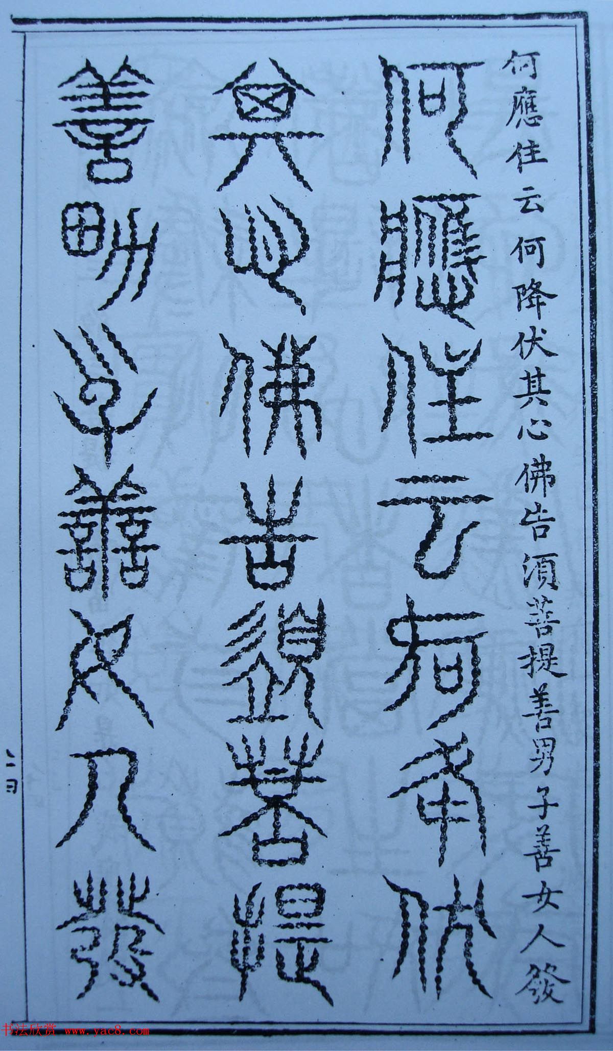 鷨żʮ׭վ