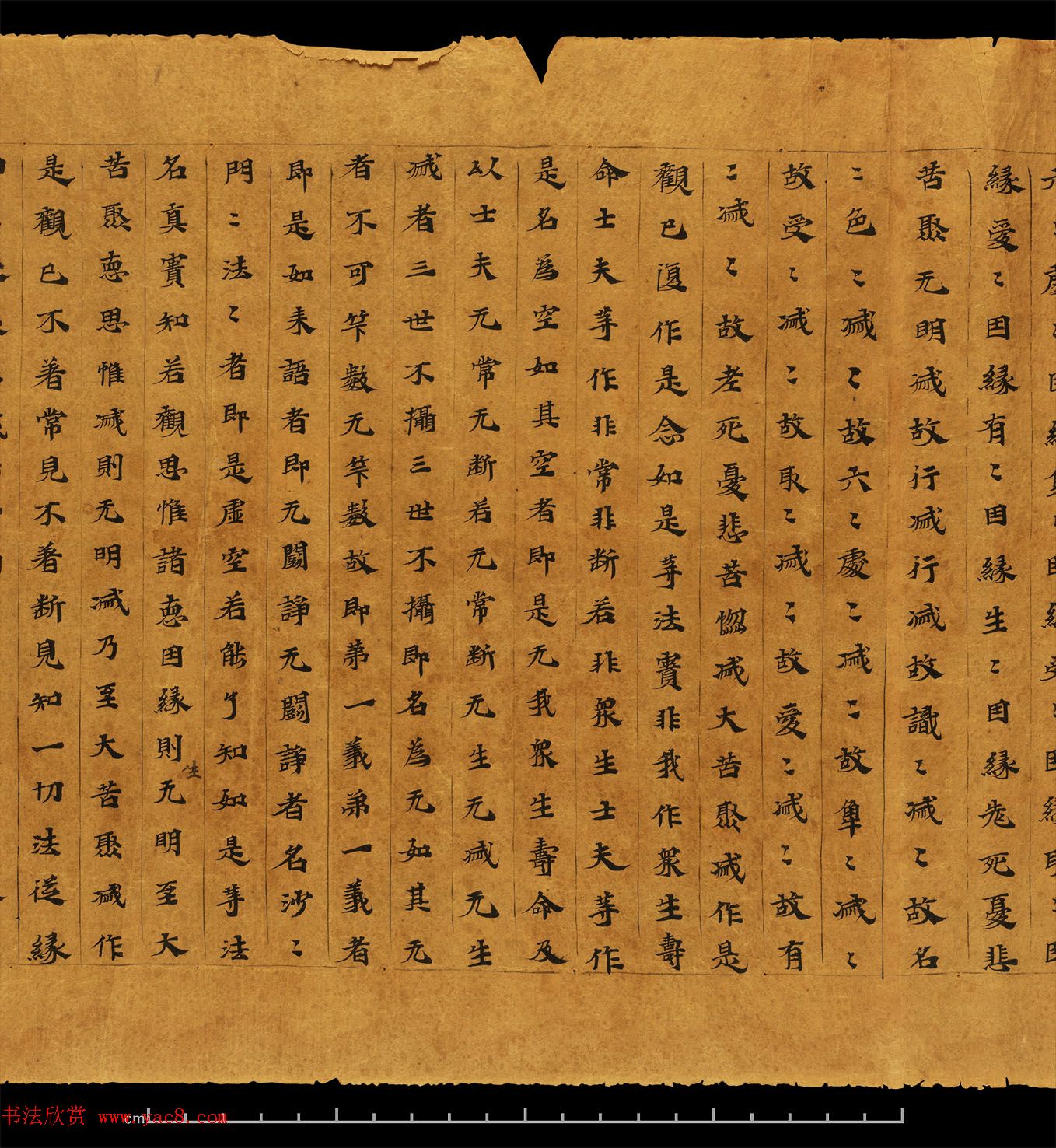 鷨ī͡󼯾