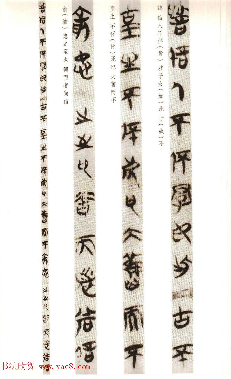 ϵ׭顶Ĺ--ʱ֮