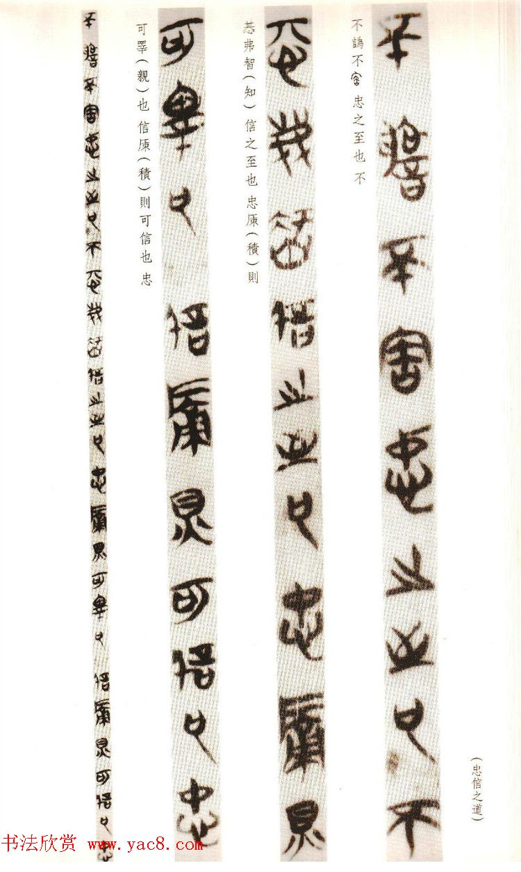 ϵ׭顶Ĺ--ʱ֮