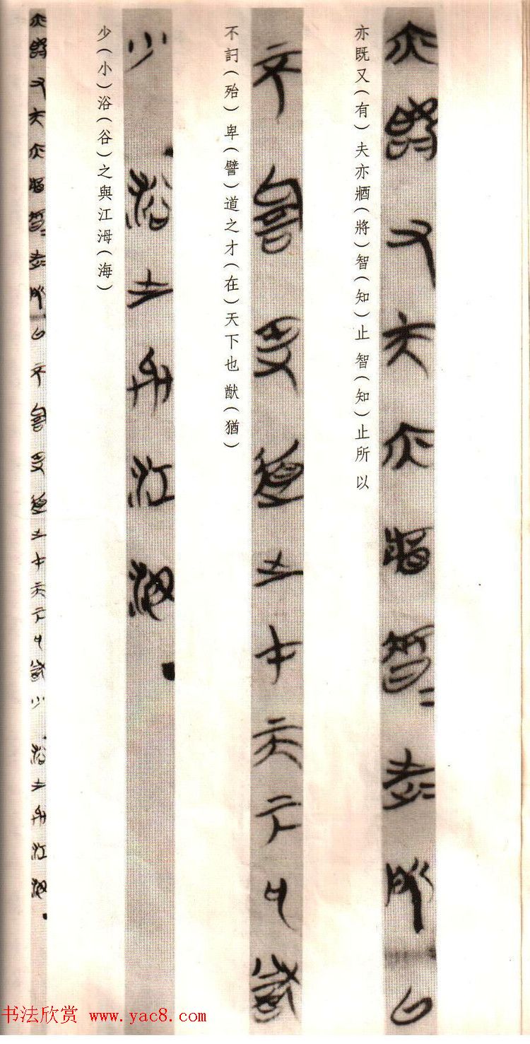 鷨Ĺ--Ӽס