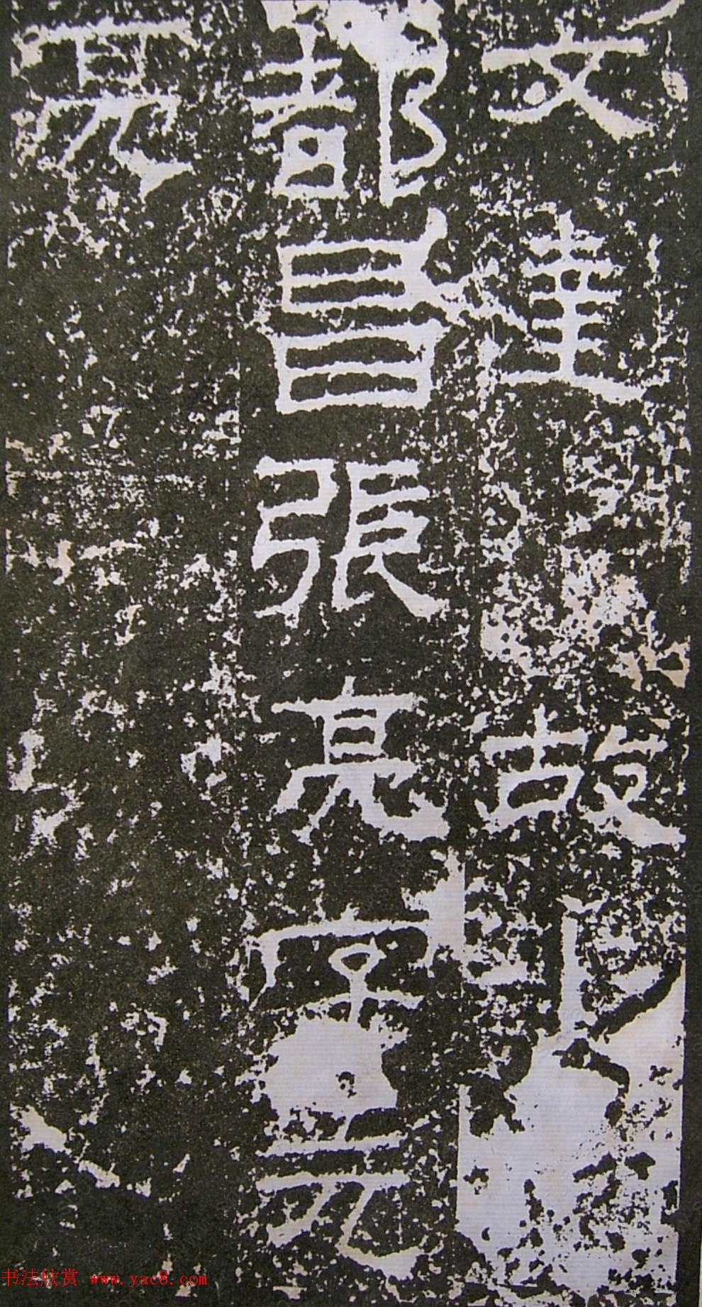 鱮̡