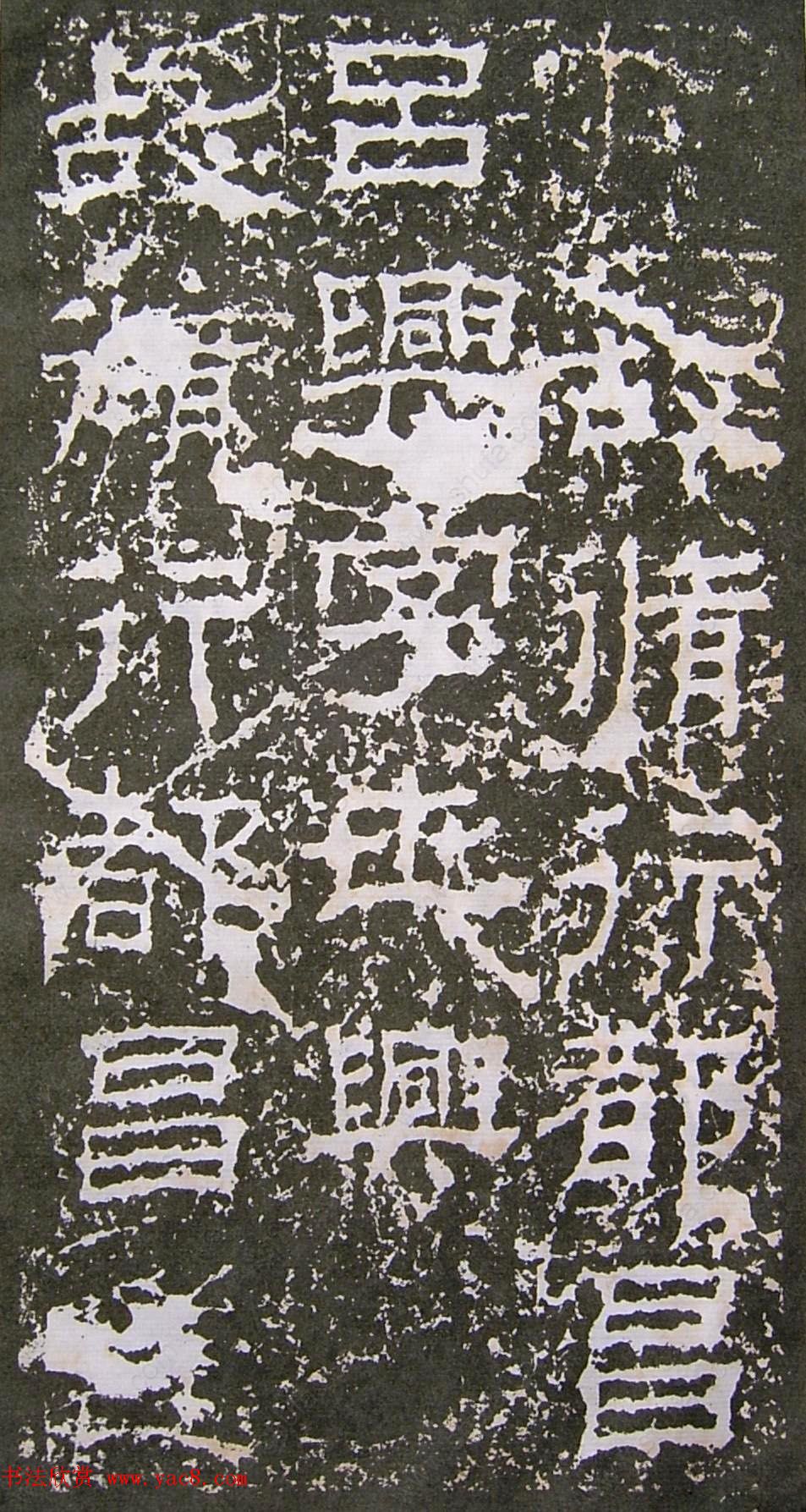 鱮̡