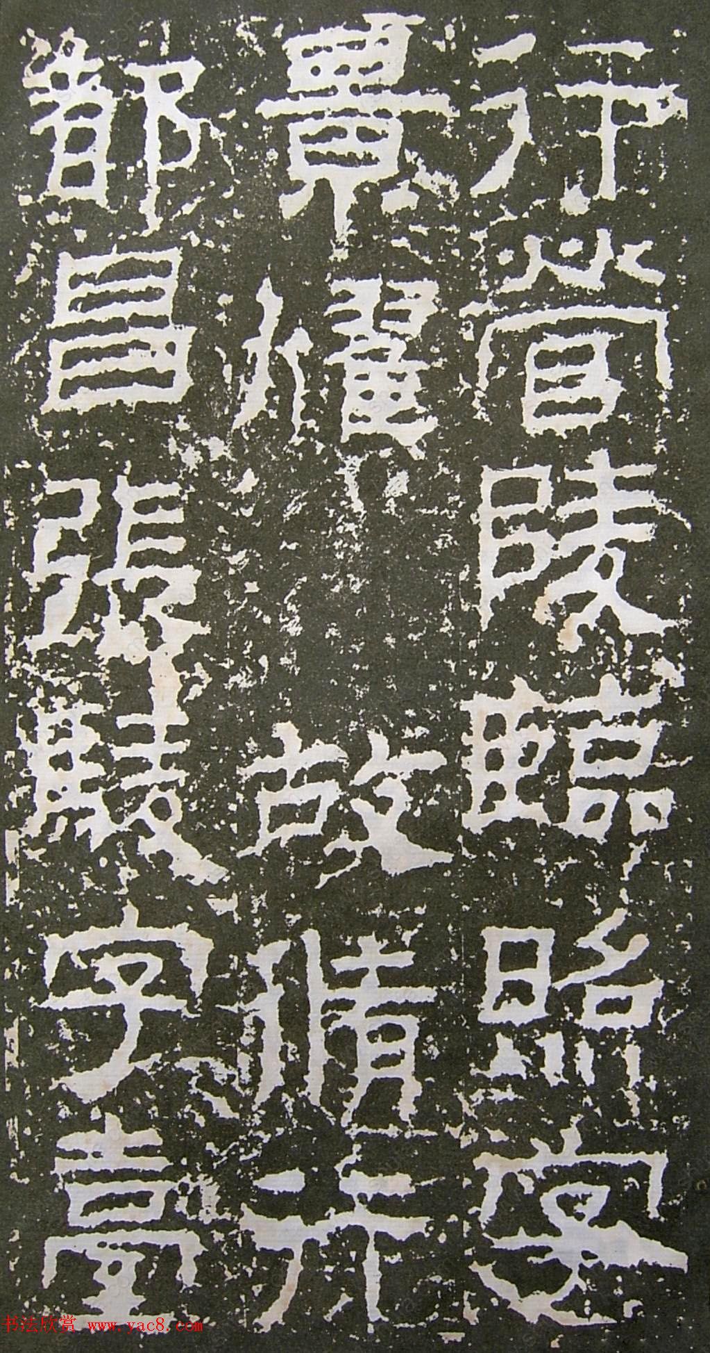 鱮̡