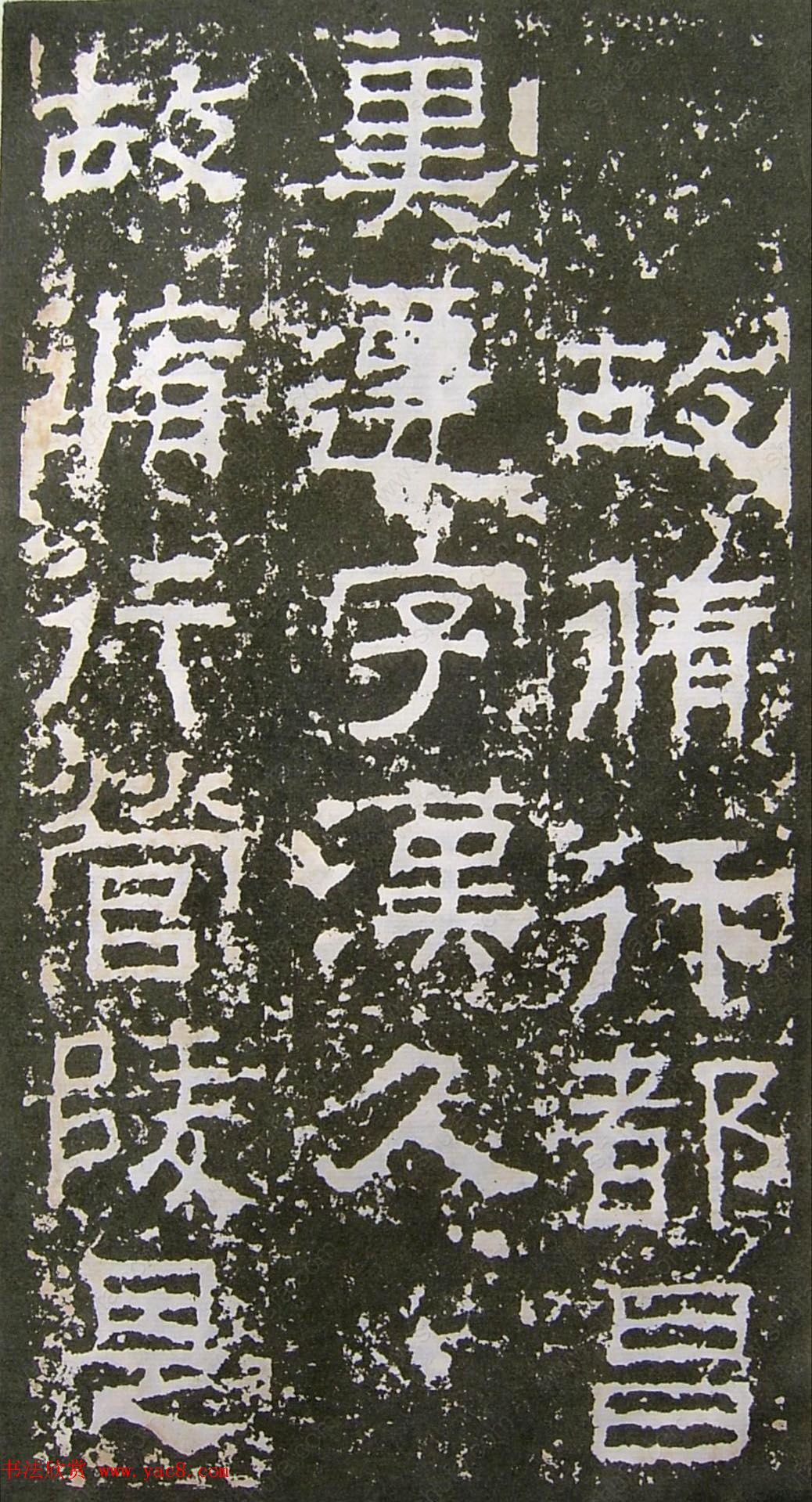鱮̡