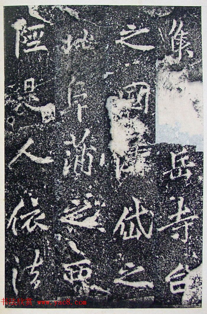 ƴ顶±̲