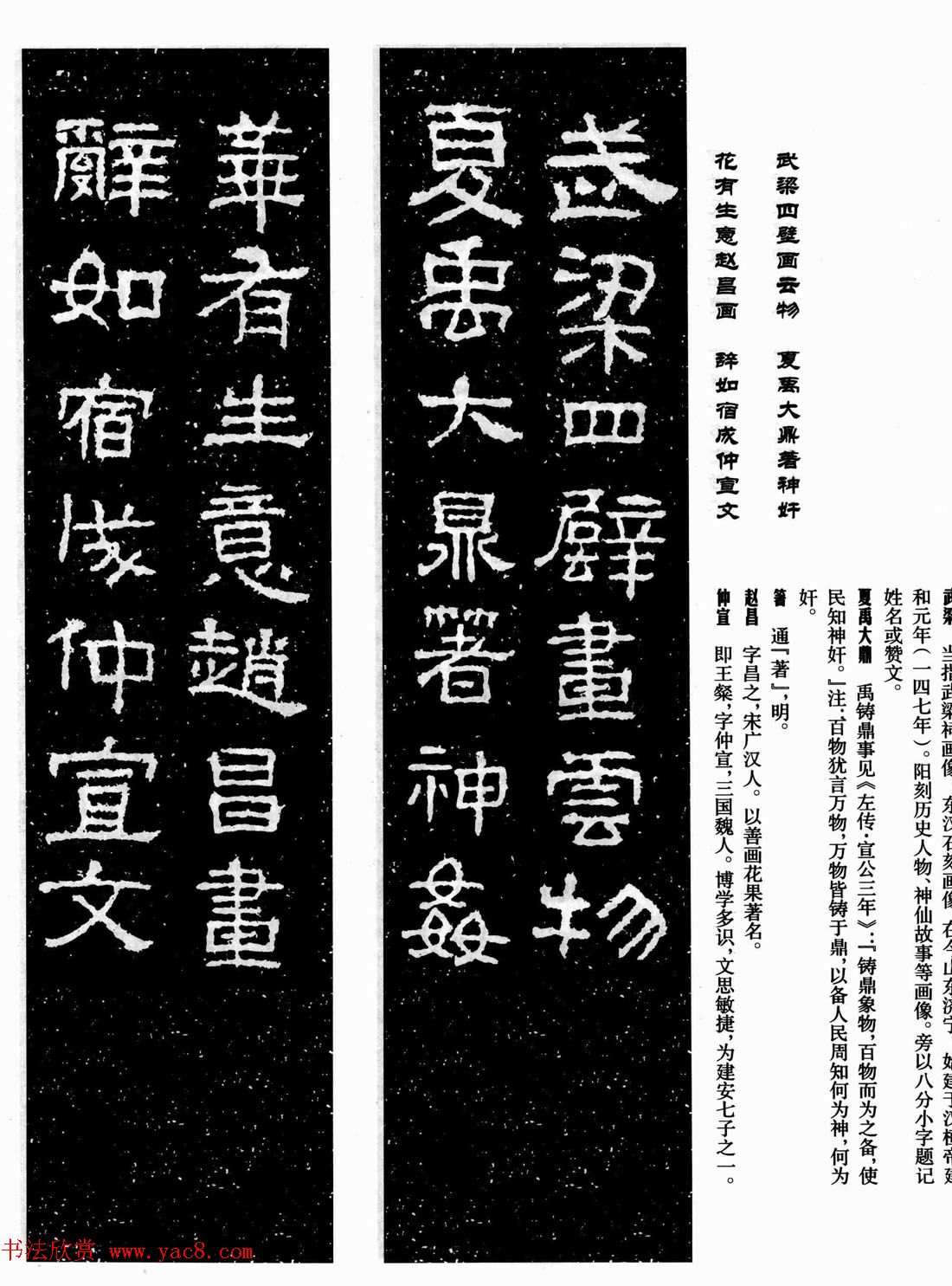 鼯ּ͡